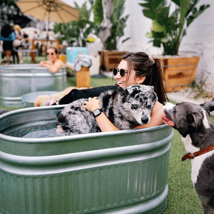 Spaw Day at Dog PPL dog park.