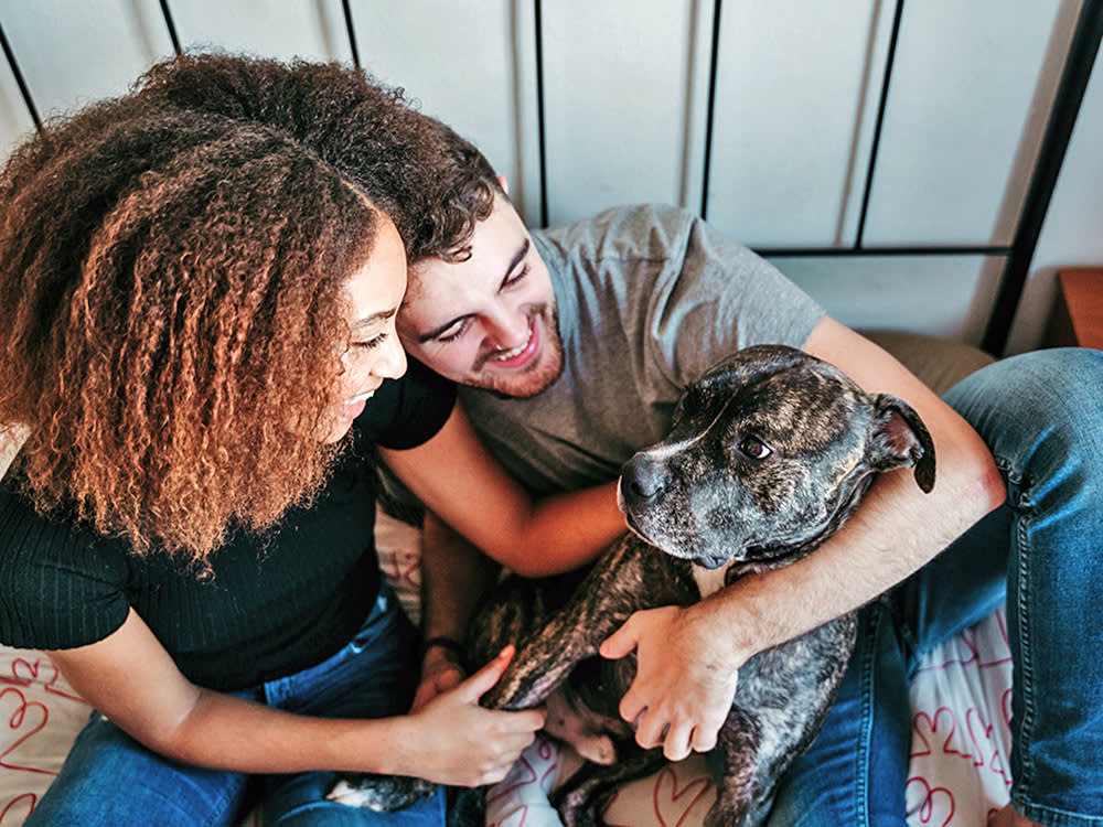 Afro american woman, caucasian man and their pit bull dog together.