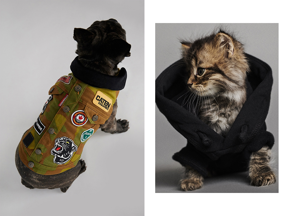 Dsquared2 x Poldo Dog Couture · The Wildest