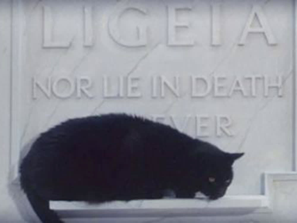 a cat on a tomb in The Tomb of Ligeia