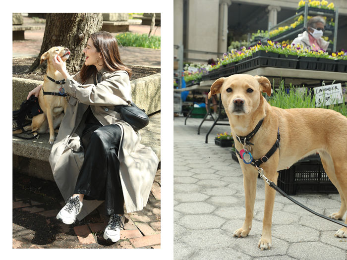 Lauren Signer and her rescue dog
