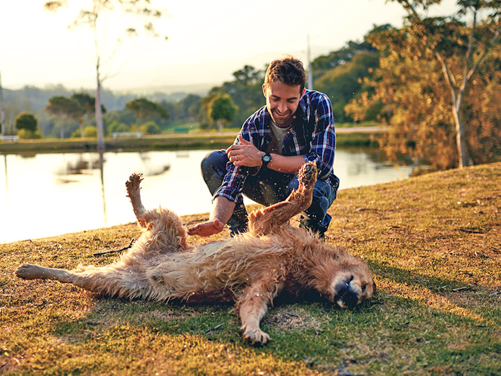Man playing with his Golden Retriever outside in the grass.