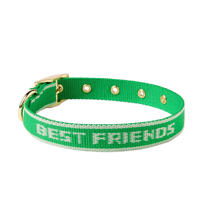 Best friends collar