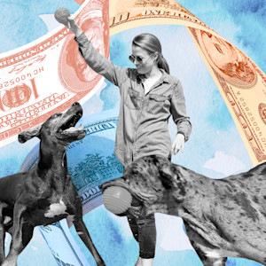 Woman Holding Ball At Height Training Great Dane Dogs On Seaside.