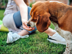 Woman feeding her dog a treat outside.