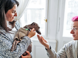 A woman with glasses holds out a whippet to a boy with pink hair and glasses