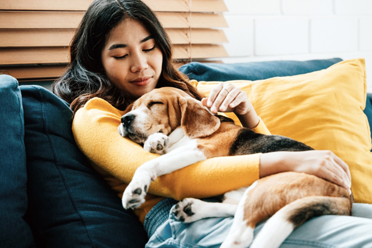 A medium-sized dog cuddles with a woman sitting on a couch.