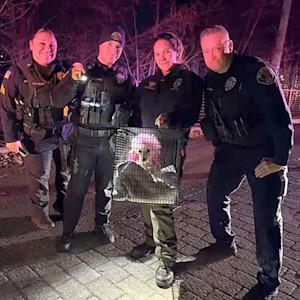 Molly, a pink Poodle, with police officers