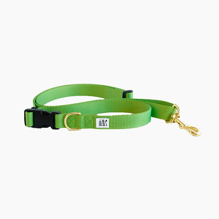 green leash
