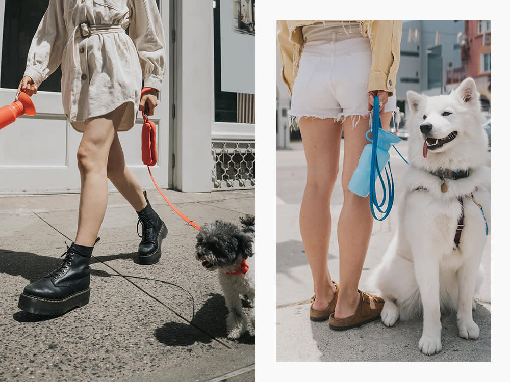 springer water bottle being carried in two different colors