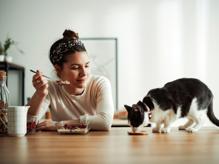 Woman sitting at the kitchen table eating breakfast with her cat eating next to her