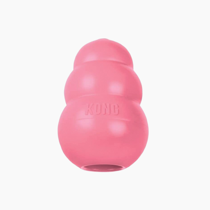 pink KONG toy for dogs