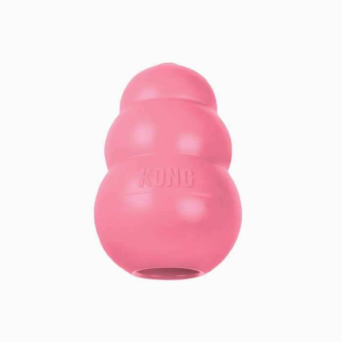 pink KONG toy for dogs
