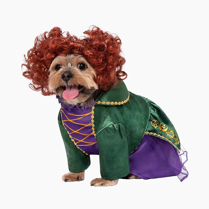 Winifred Sanderson Pet Costume