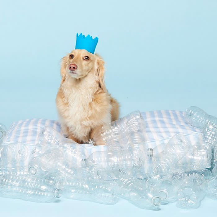 a dog wearing a blue crown sits on top of a blue-and-white striped dog bed surrounded by plastic water bottles