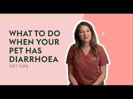 What To Do When Your Pet Has Diarrhoea | Vet Tips