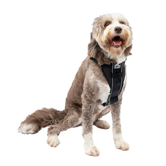 Kurgo Tru-Fit Smart Dog Walking Harness