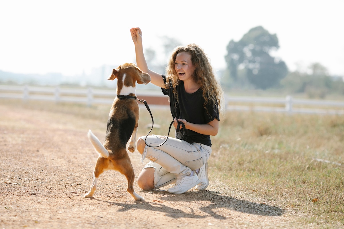a woman trains her dog in a field