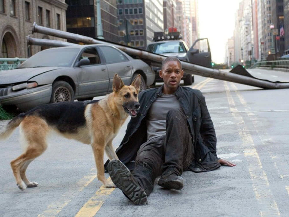 Will Smith with the dog from “I Am Legend”