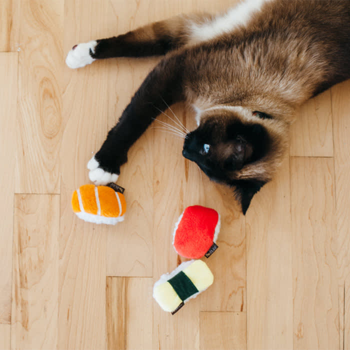 cat playing with sushi themed toys on hardwood floor