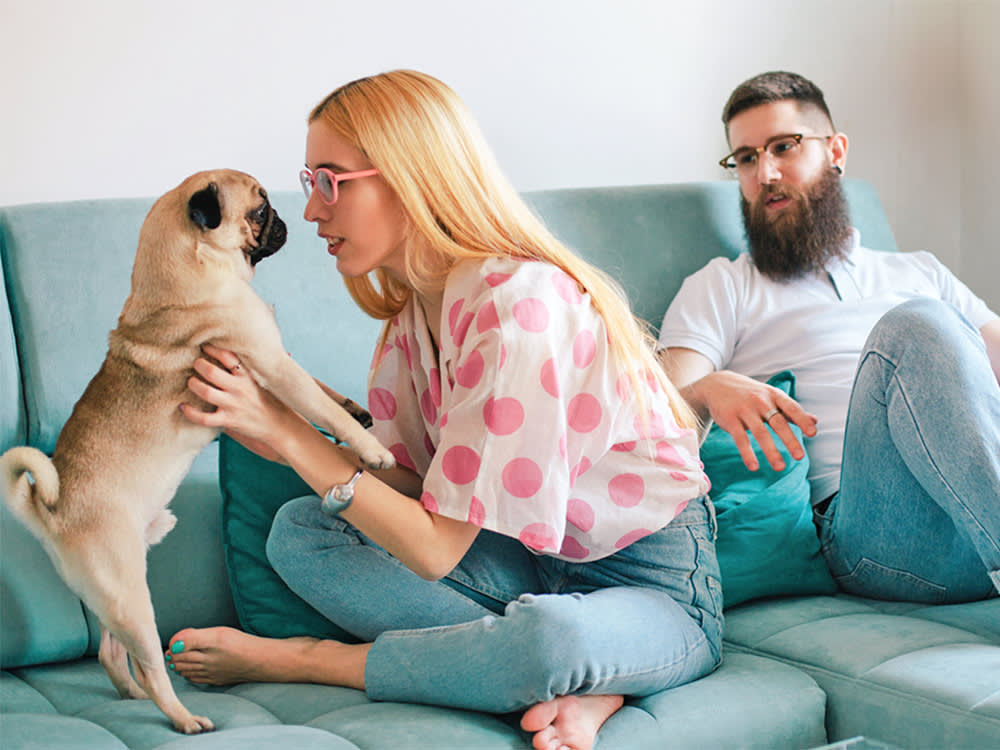 Couple with their pug dog on the couch at home.