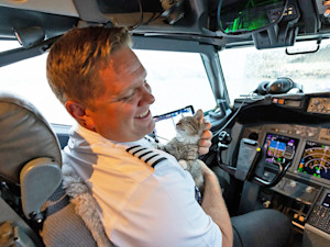 A Southwest captain made a new friend in kitten Avery while flying 145 shelter animals affected by Hurricane Milton and Hurricane Helene to the Midwest.