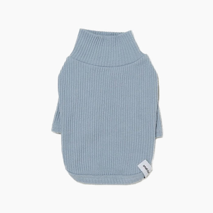 the blue turtleneck sweater
