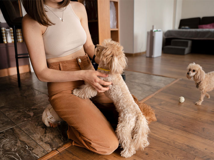 A woman sitting on a floor playing with her dogs. 