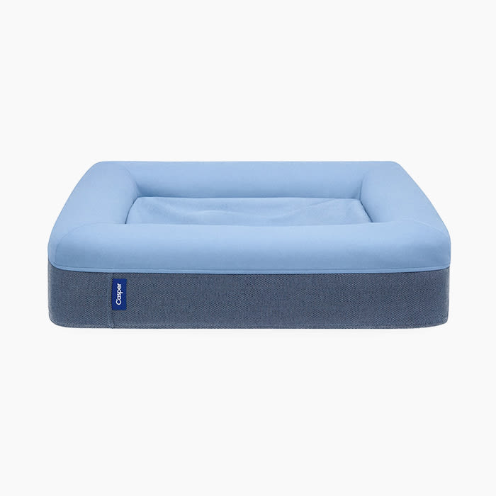 the blue dog bed