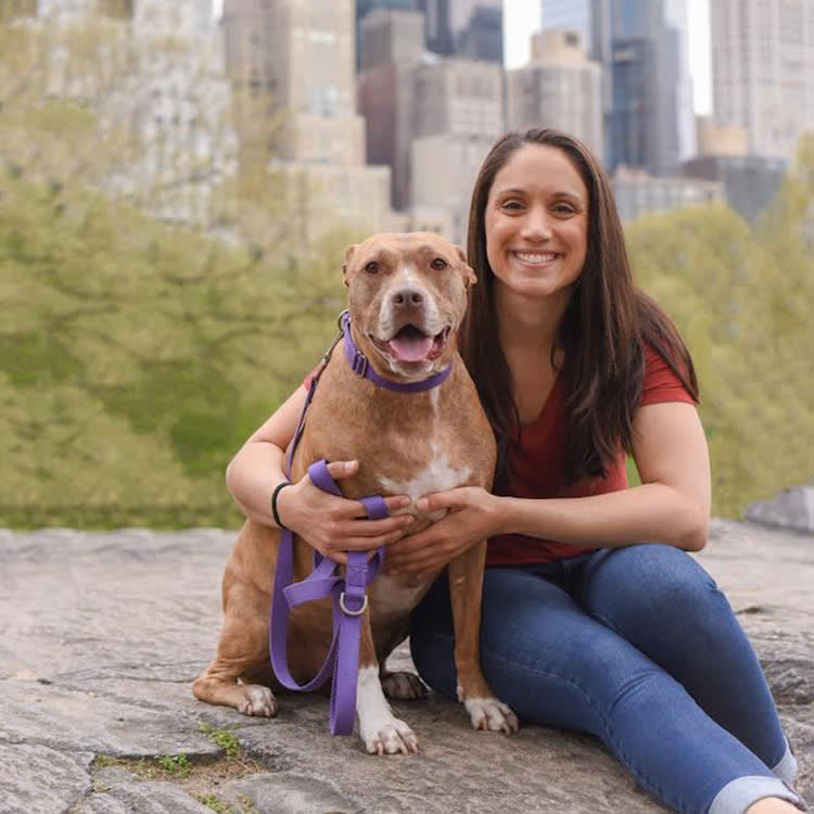 A woman sitting on a rock with a dog and a city skyline in the background. 