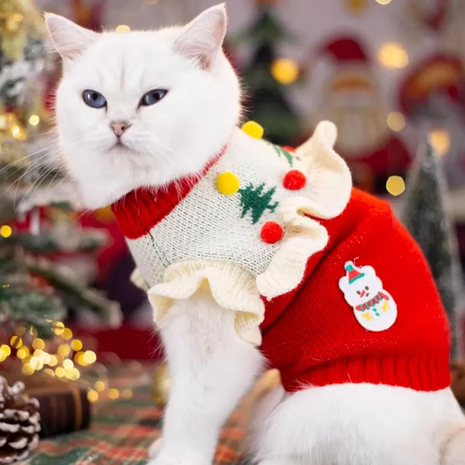 White cat wearing a christmas jumper