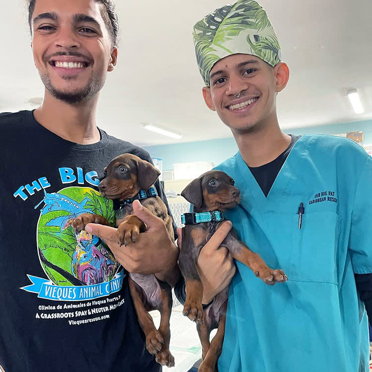 Two volunteers holding puppies at Our Big Fat Caribbean Rescue!