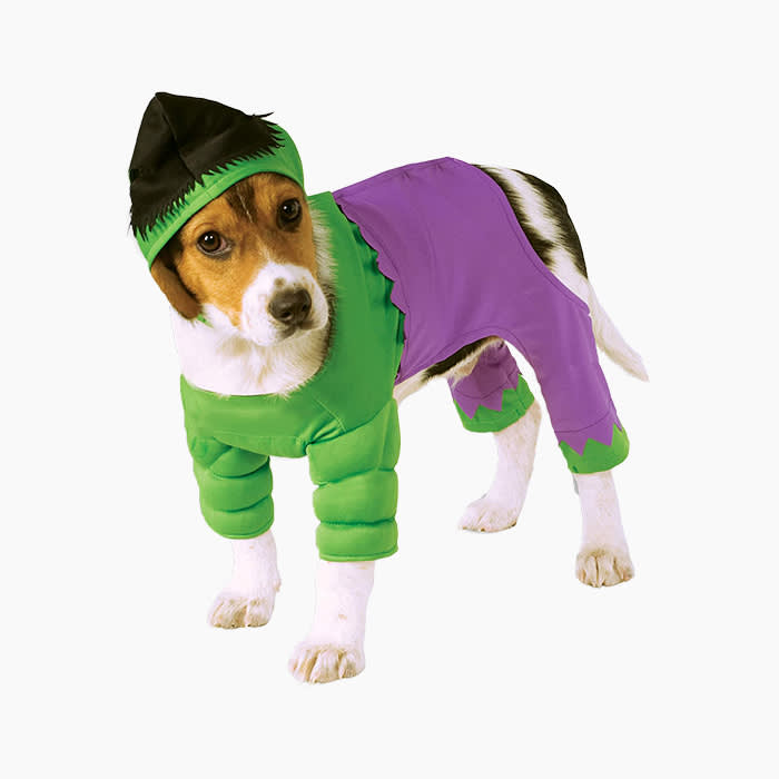 hulk dog costume