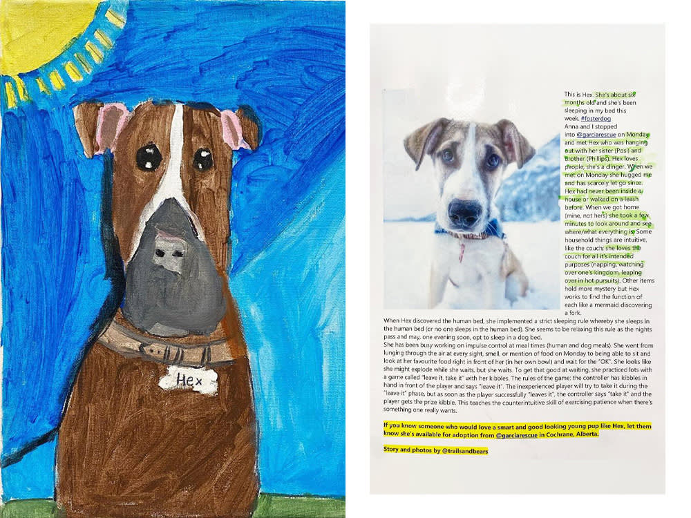 A shelter pet beside a painting of himself