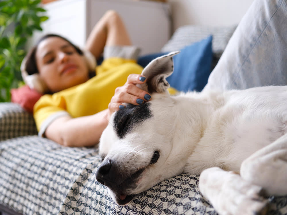 Woman laying with dog who is sleeping.