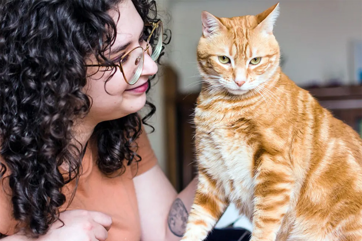 Person looking at cat