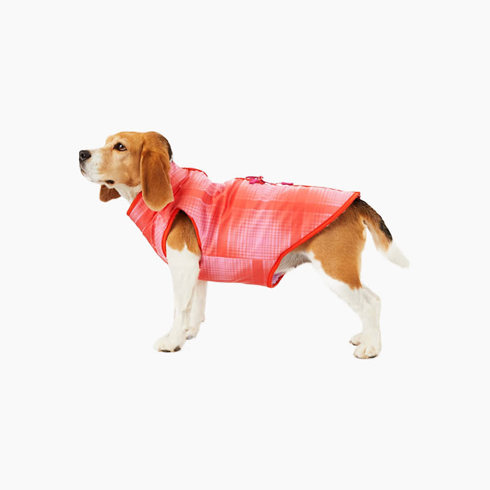 the dog sweater in pink and red