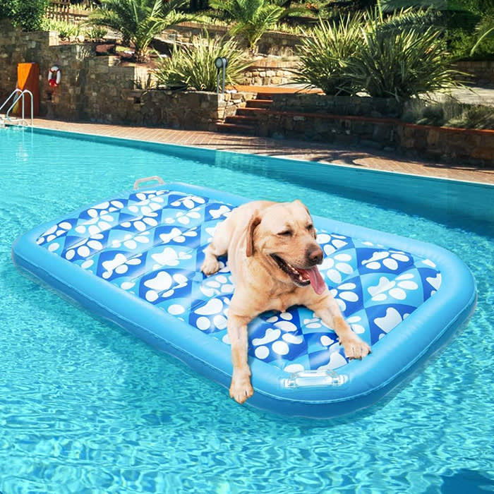 Inflatable Dog Pool Float - with Cute Paw Design

