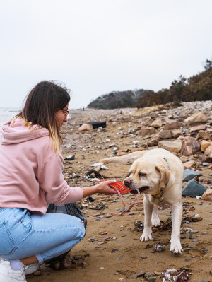 Woman And Dog Cleaning Coast From Trash.