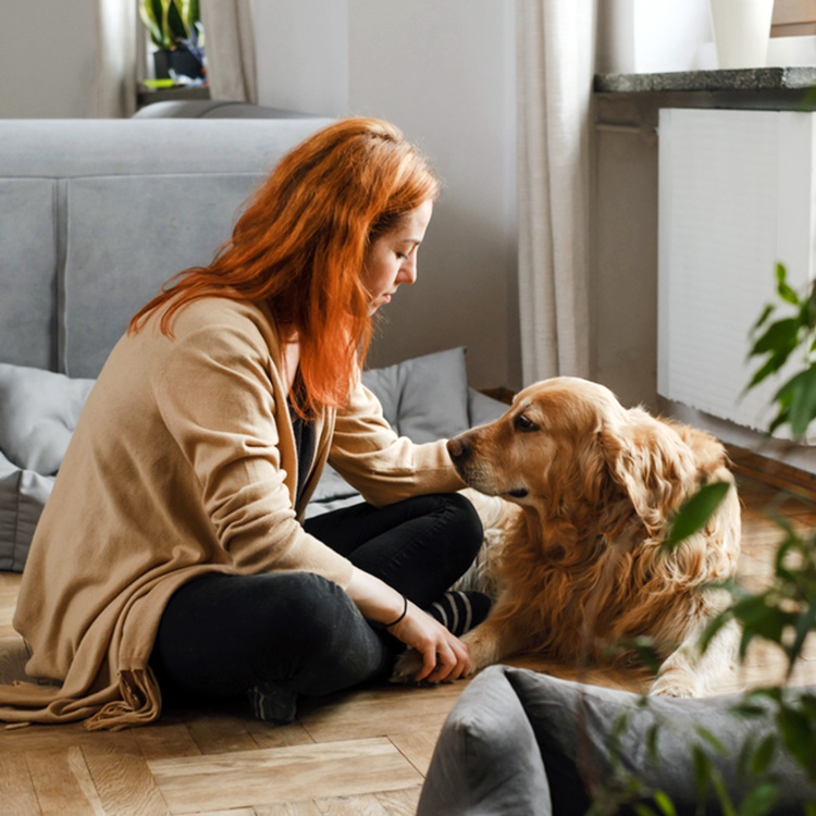 Can You Use Hydrogen Peroxide On Dogs? · The Wildest