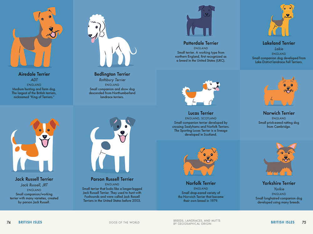 Lili Chin illustrations of Terriers