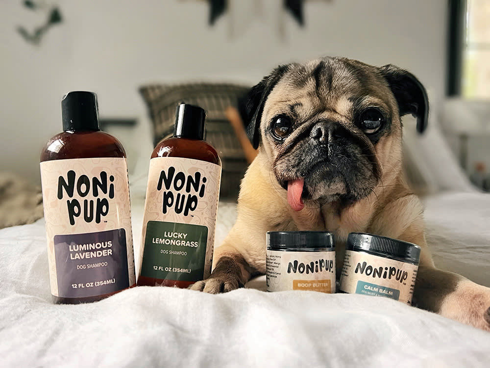 Doug the Pug with Nonipup products