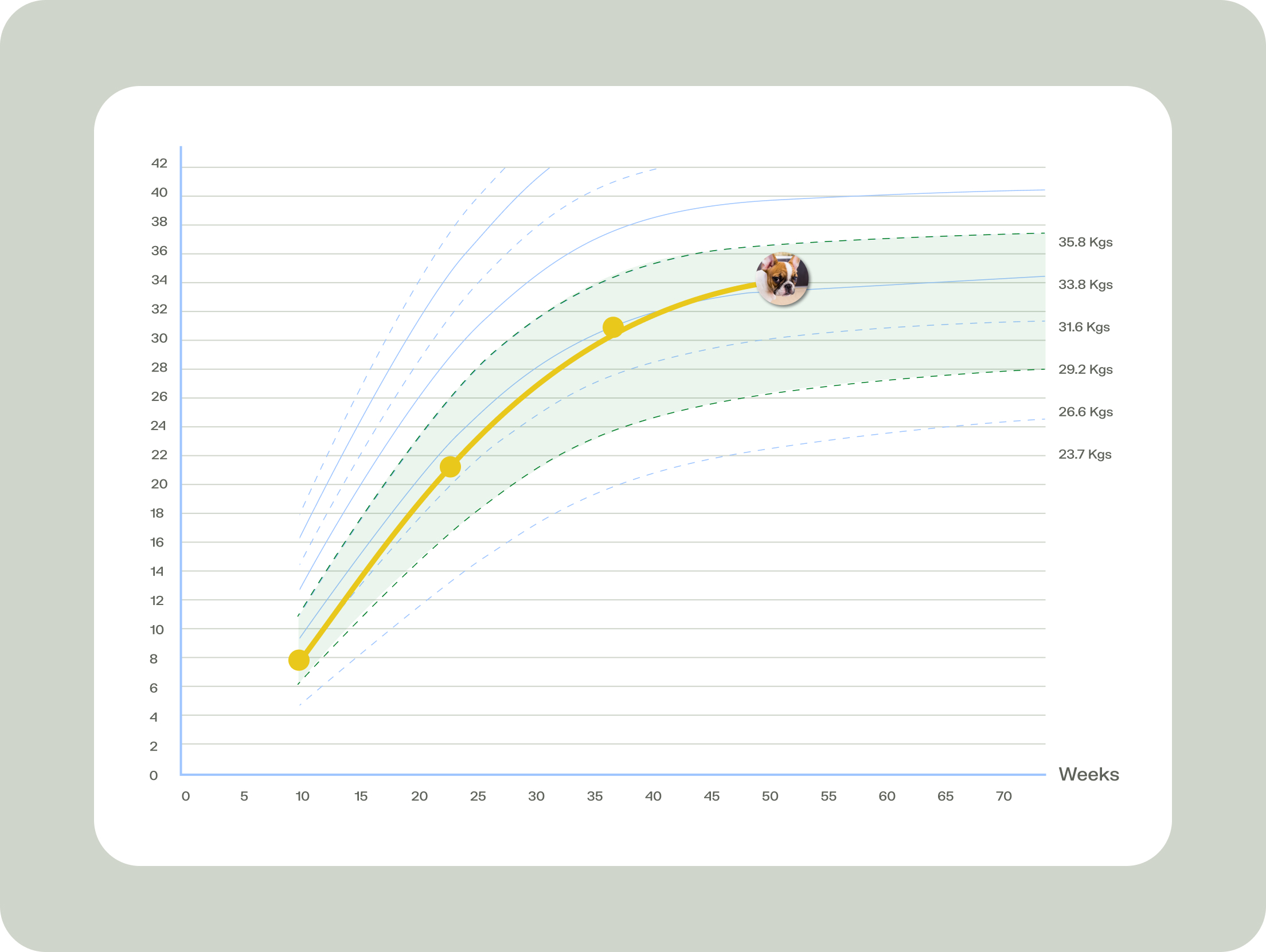 Screenshot of the growth chart tool.