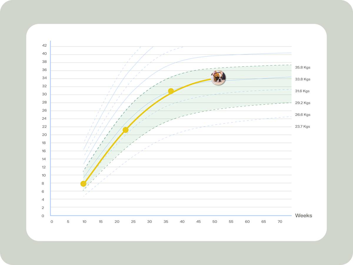 Screenshot of the growth chart tool.
