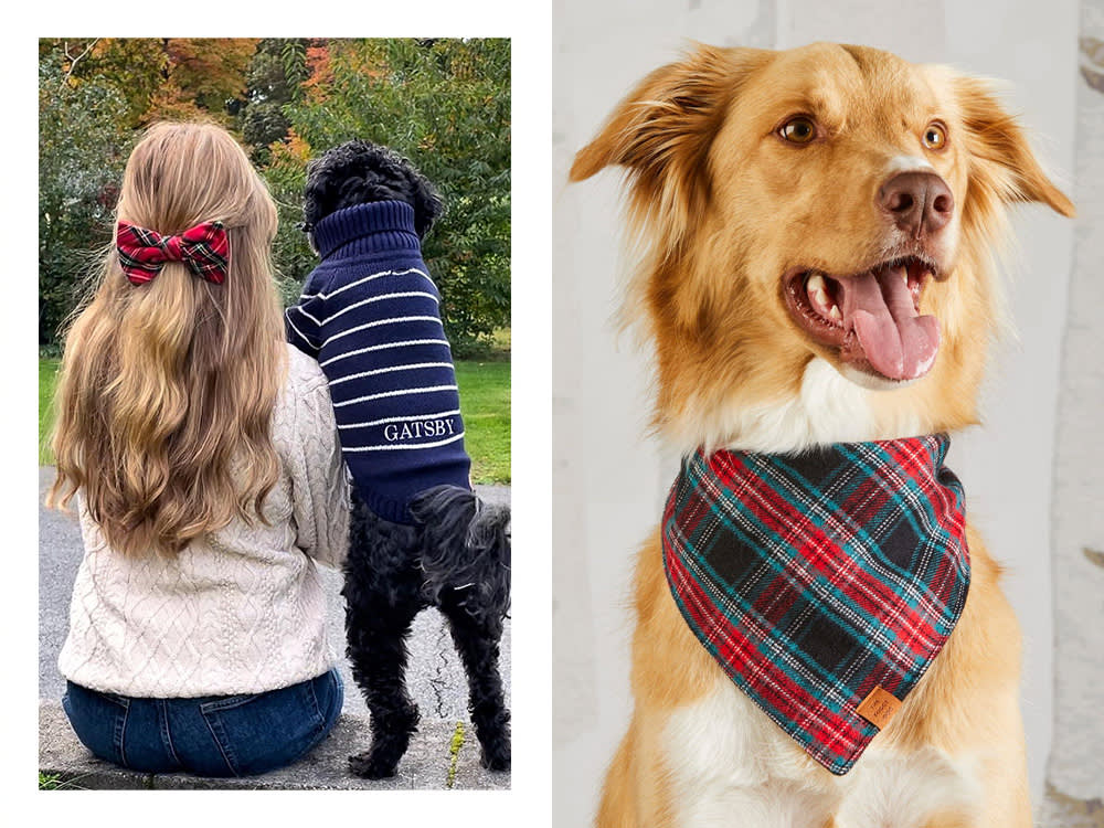 a dog in a Draper James x Foggy Dog sweater; a dog in a Draper James x Foggy Dog plaid dog bandana 