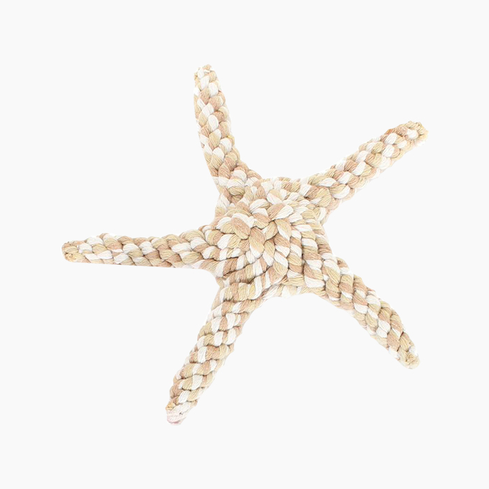 tan starfish toy