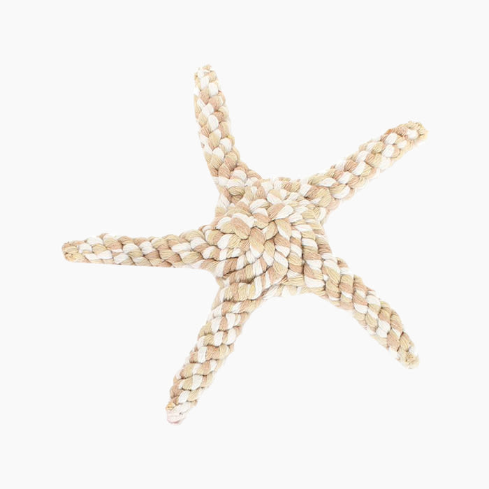 tan starfish toy