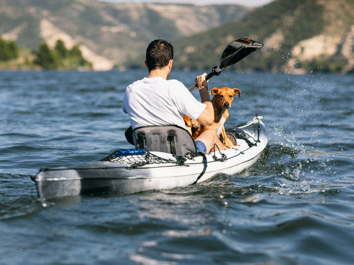man paddles in kayak with brown dog