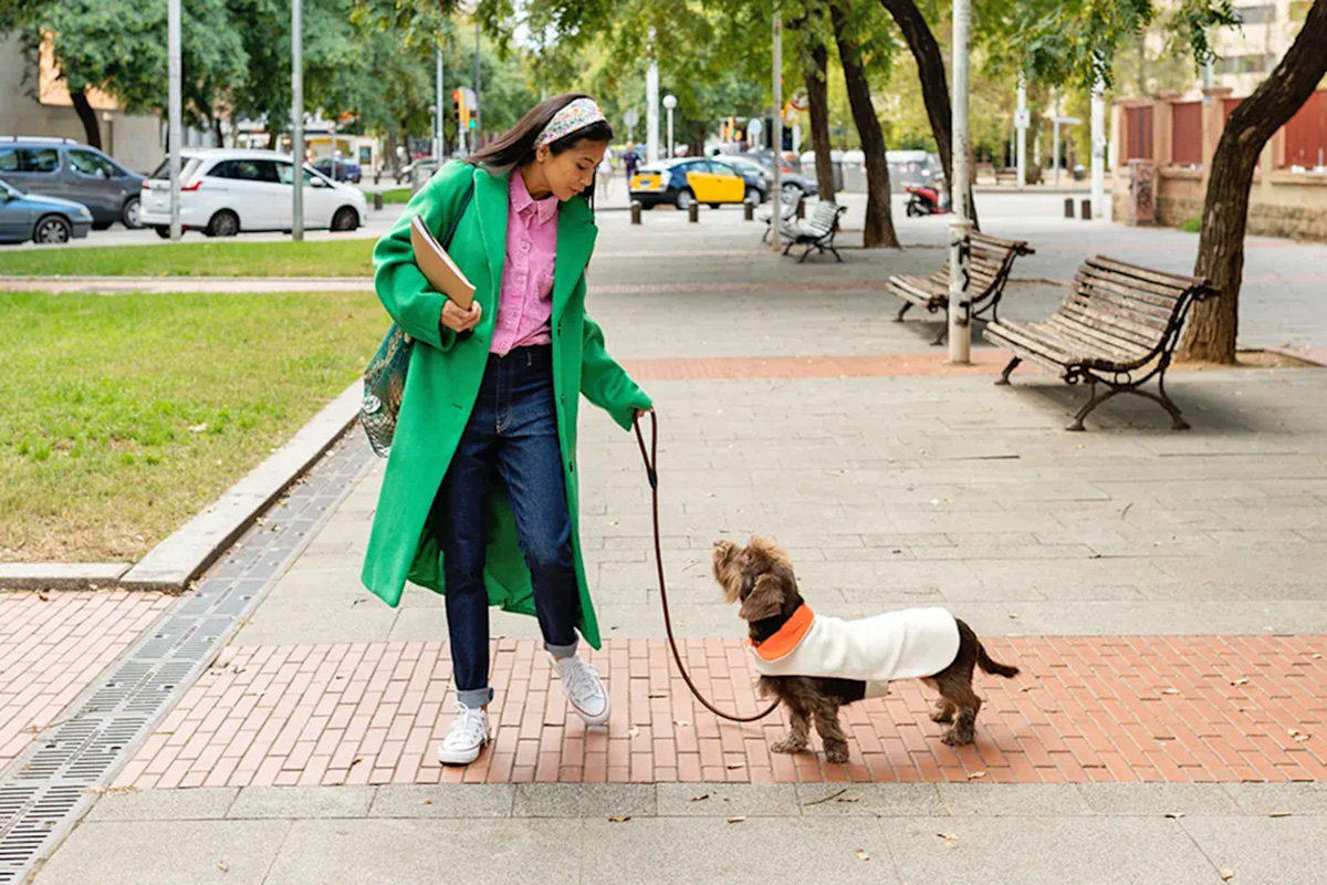 Person walking a dog