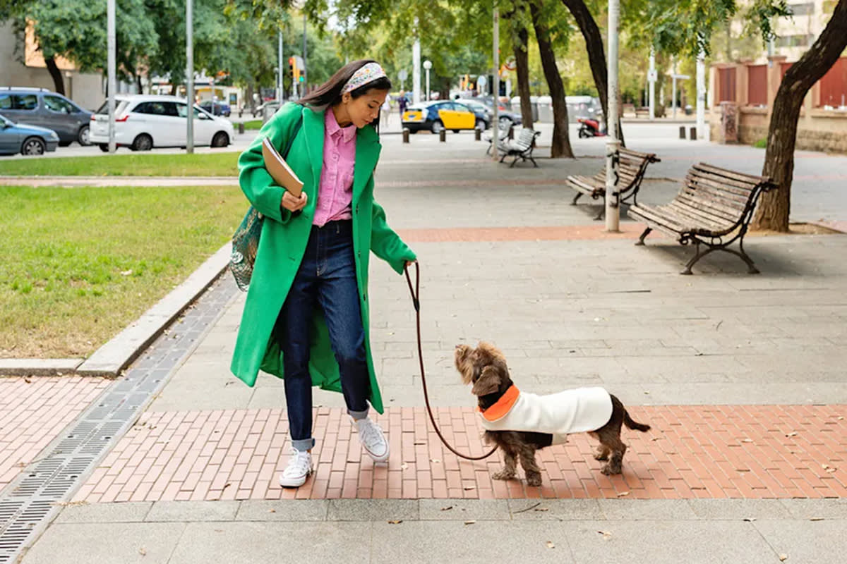 Person walking a dog